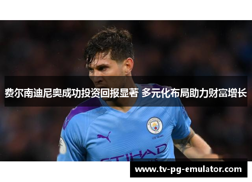 费尔南迪尼奥成功投资回报显著 多元化布局助力财富增长