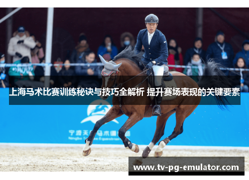 上海马术比赛训练秘诀与技巧全解析 提升赛场表现的关键要素