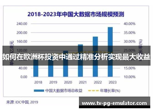 如何在欧洲杯投资中通过精准分析实现最大收益