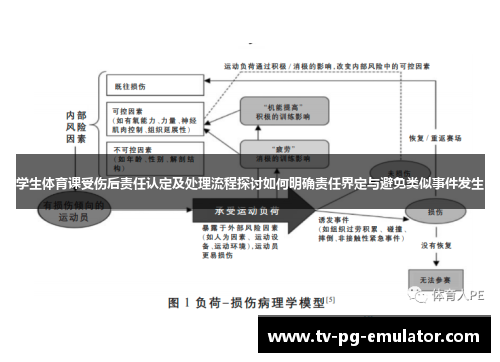 学生体育课受伤后责任认定及处理流程探讨如何明确责任界定与避免类似事件发生