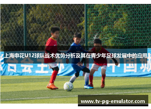 上海申花U12球队战术优势分析及其在青少年足球发展中的应用