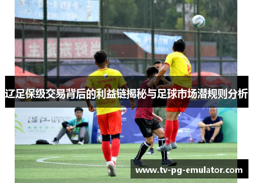 辽足保级交易背后的利益链揭秘与足球市场潜规则分析 辽足保级交易背后的利益链揭秘与足球市场潜规则分析