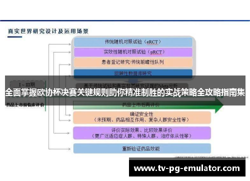 全面掌握欧协杯决赛关键规则助你精准制胜的实战策略全攻略指南集 全面掌握欧协杯决赛关键规则助你精准制胜的实战策略全攻略指南集