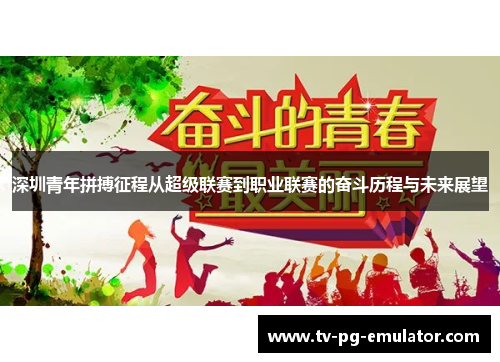 深圳青年拼搏征程从超级联赛到职业联赛的奋斗历程与未来展望