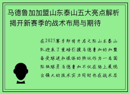 马德鲁加加盟山东泰山五大亮点解析 揭开新赛季的战术布局与期待 马德鲁加加盟山东泰山五大亮点解析 揭开新赛季的战术布局与期待