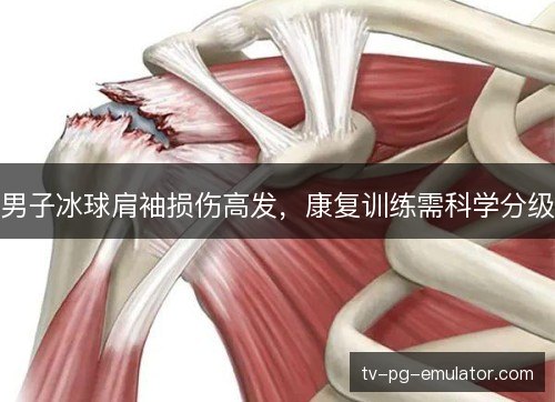 男子冰球肩袖损伤高发，康复训练需科学分级